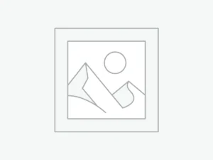 عنصر نائب Placeholder